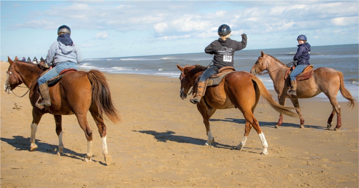 Read more about the article Health Benefits from Horseback Riding