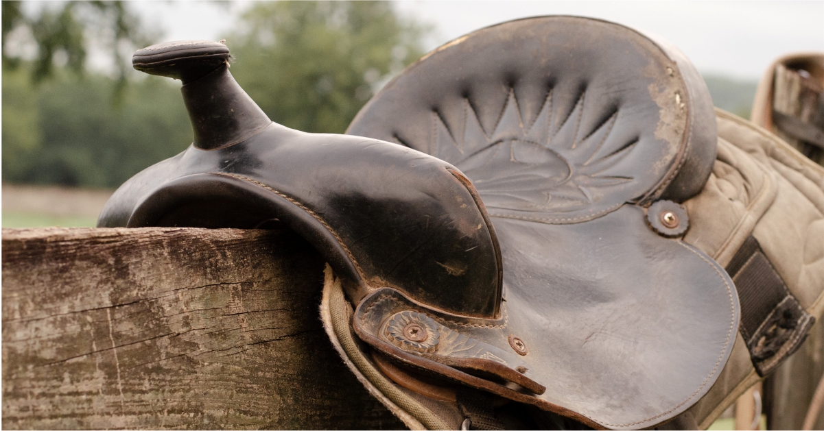 Read more about the article Western vs. English Riding Styles